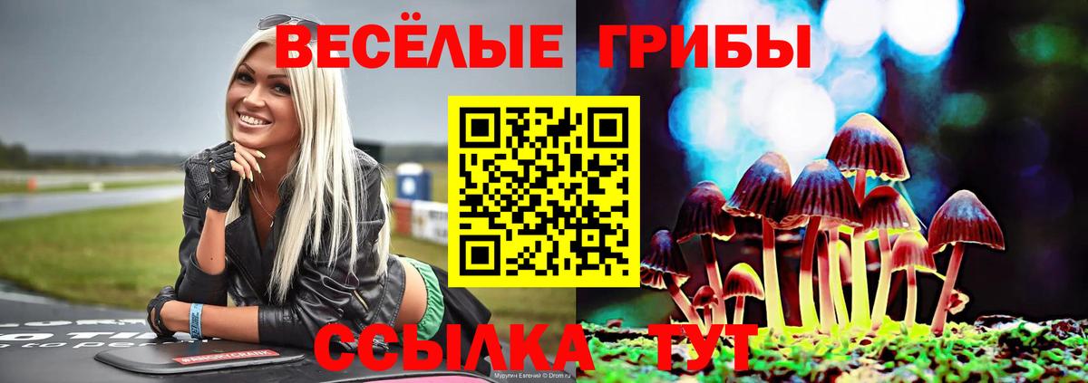 Новокубанск  Псилоцибиновые грибы Psilocybe  Галлюциногенные грибы Magic Shrooms  Вход с VPN 
